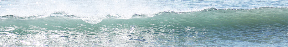 海と写真と本が好きなシステム屋のブログ Rotating Header Image